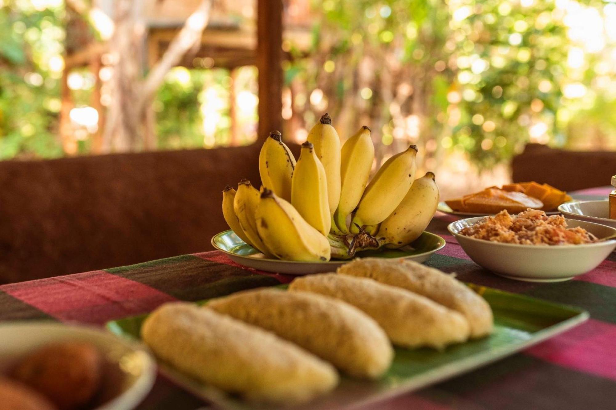 Sigiri Aliya Tree House Hotel Sigiriya Exterior photo