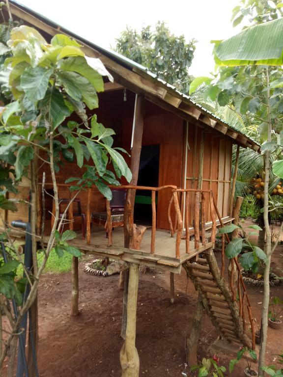 Sigiri Aliya Tree House Hotel Sigiriya Exterior photo