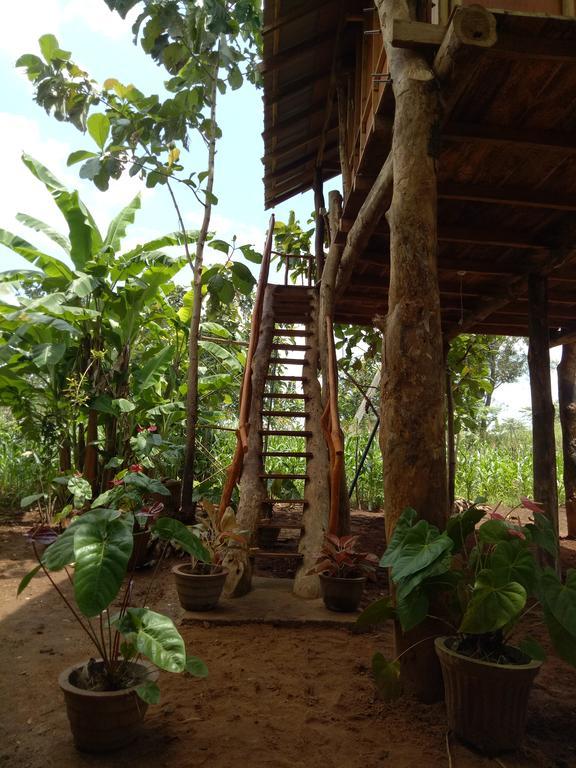 Sigiri Aliya Tree House Hotel Sigiriya Exterior photo