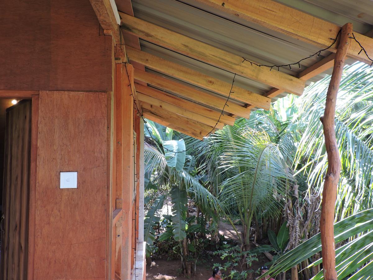 Sigiri Aliya Tree House Hotel Sigiriya Exterior photo