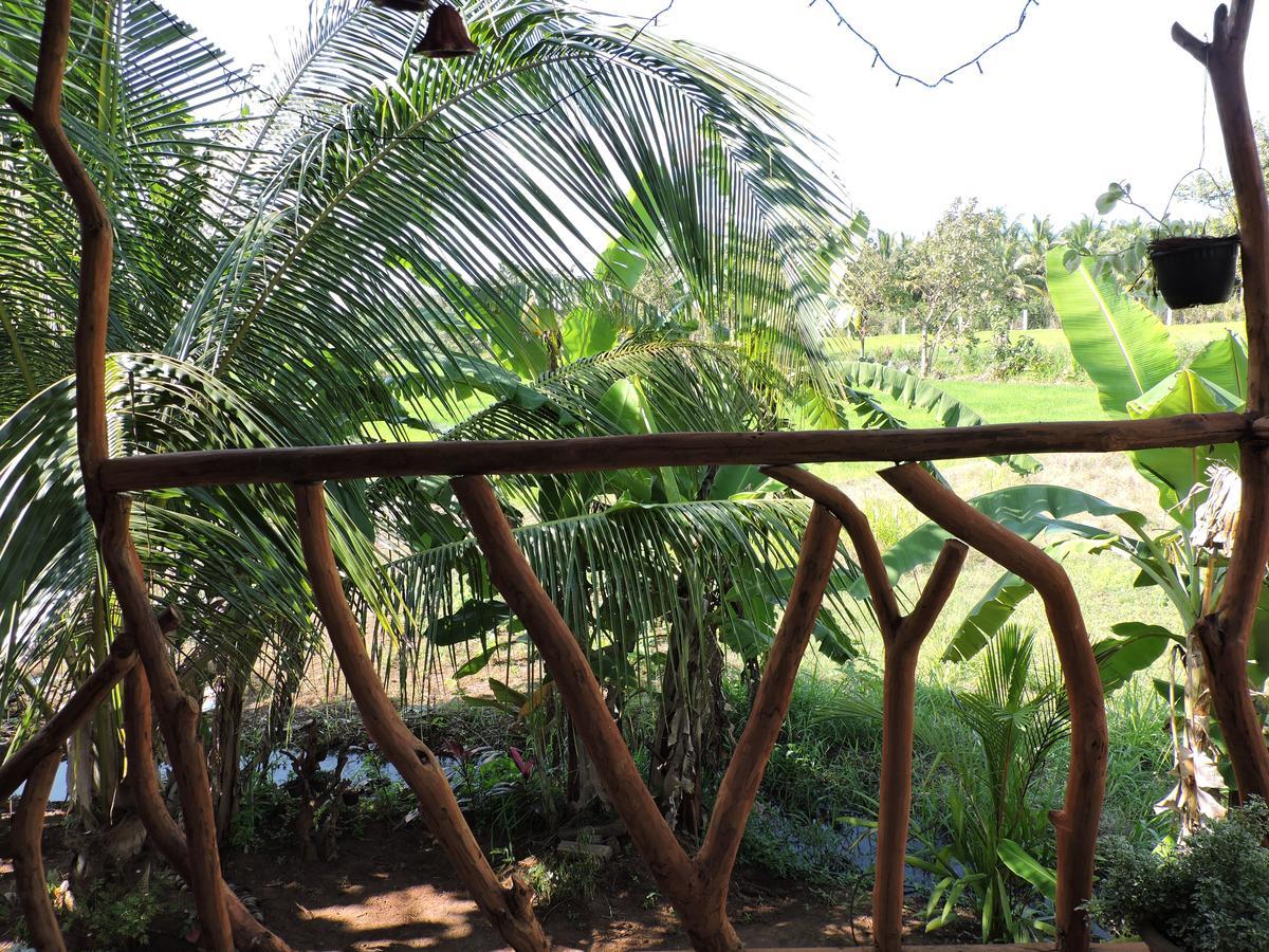 Sigiri Aliya Tree House Hotel Sigiriya Exterior photo