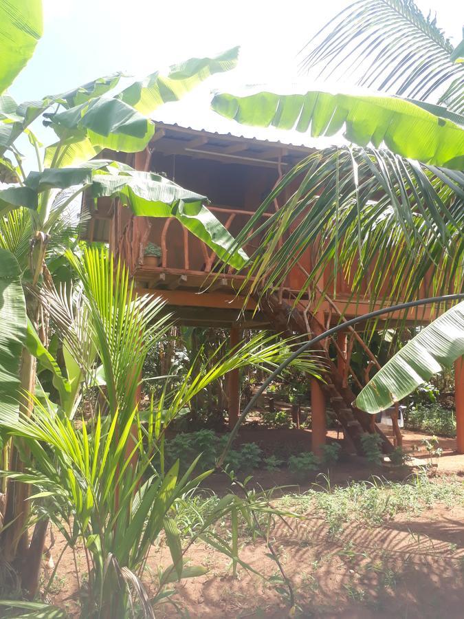 Sigiri Aliya Tree House Hotel Sigiriya Exterior photo