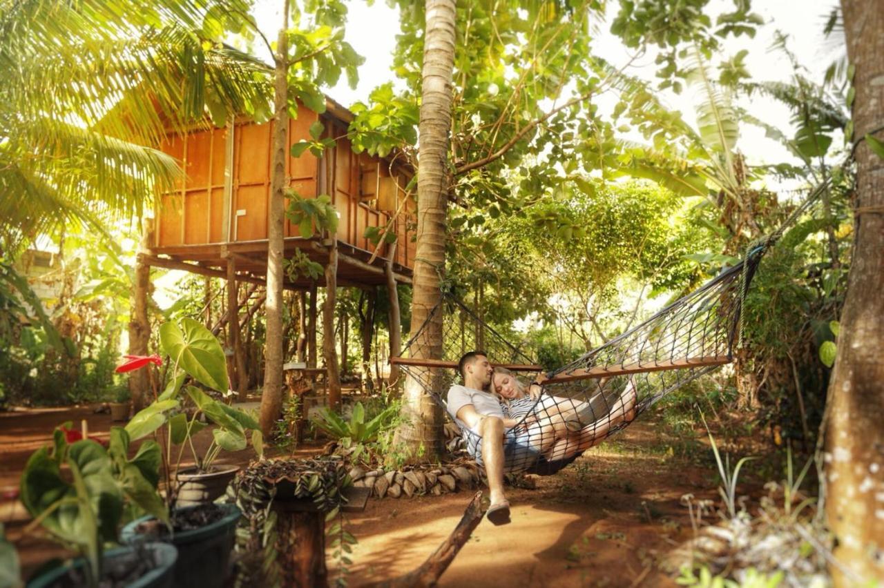 Sigiri Aliya Tree House Hotel Sigiriya Exterior photo
